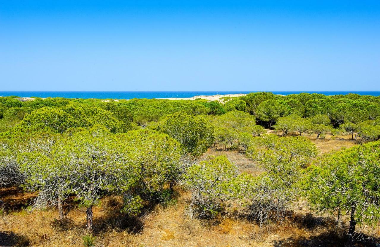 Luxury Pinada Beach Ла Мата Екстериор снимка